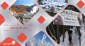 6- عجائب الثلج في اليابان
